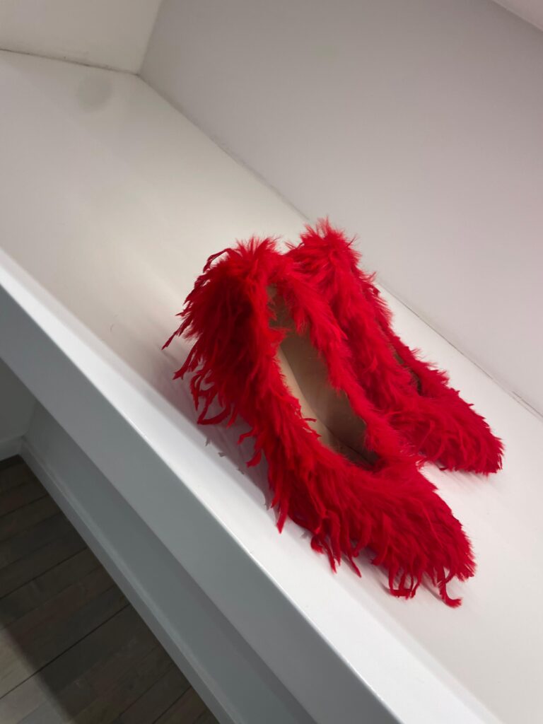 Foto tirada em um tour por lojas em BY de um sapato vermelho com texturas simulando pelos.